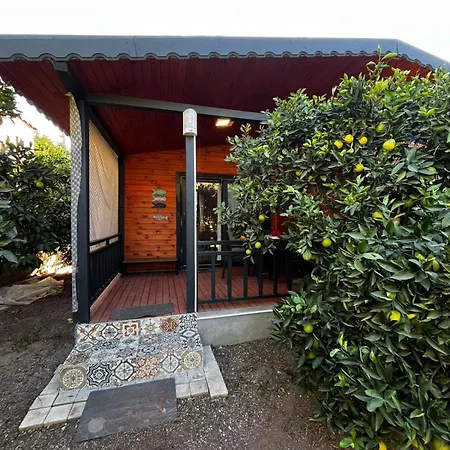 Dom wakacyjny Charming Wooden House With Access To A Large Garden Kemer