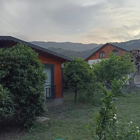 Charming Wooden House With Access To A Large Garden Holiday home